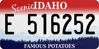 ID license plate E516252