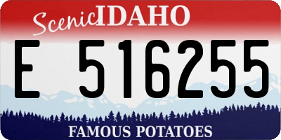 ID license plate E516255
