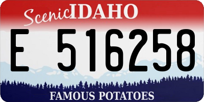 ID license plate E516258
