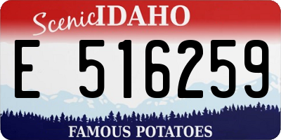 ID license plate E516259