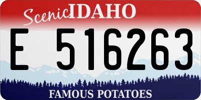 ID license plate E516263