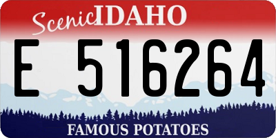 ID license plate E516264