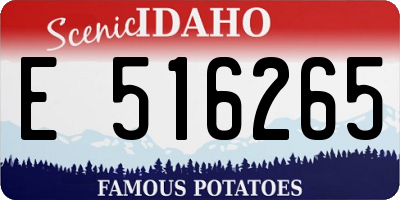 ID license plate E516265
