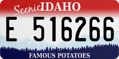 ID license plate E516266
