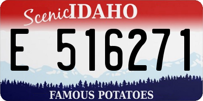 ID license plate E516271