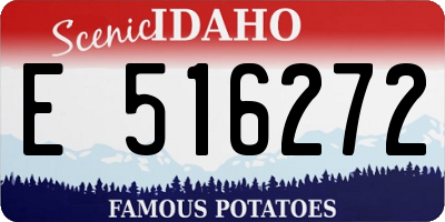 ID license plate E516272