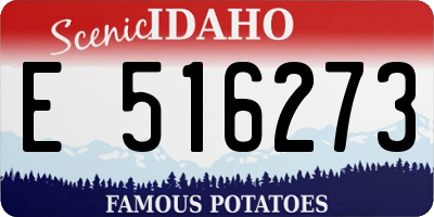 ID license plate E516273