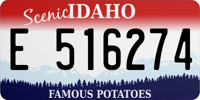 ID license plate E516274
