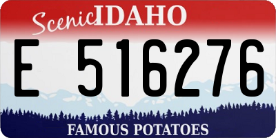 ID license plate E516276