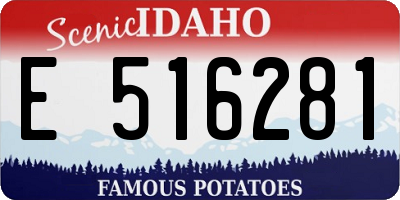 ID license plate E516281