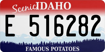 ID license plate E516282