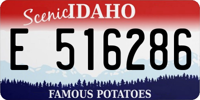 ID license plate E516286
