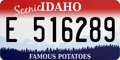 ID license plate E516289