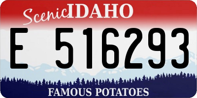 ID license plate E516293