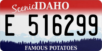 ID license plate E516299