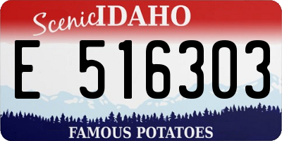 ID license plate E516303