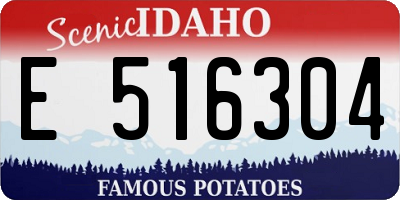 ID license plate E516304