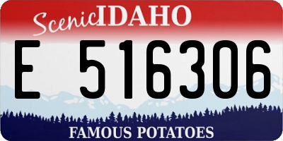 ID license plate E516306