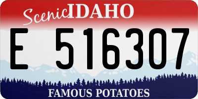 ID license plate E516307