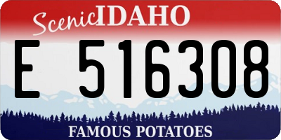 ID license plate E516308