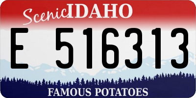 ID license plate E516313