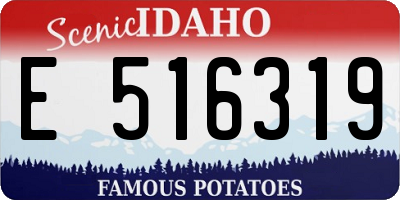 ID license plate E516319