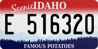 ID license plate E516320