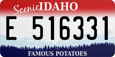 ID license plate E516331