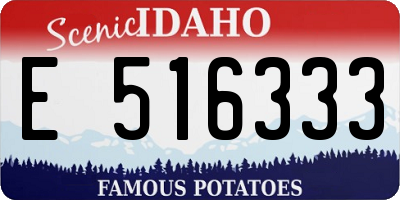 ID license plate E516333