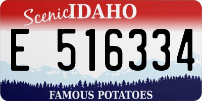 ID license plate E516334