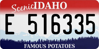ID license plate E516335