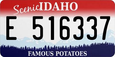 ID license plate E516337
