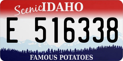 ID license plate E516338