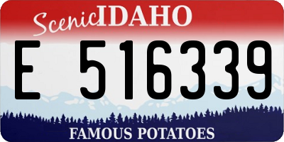 ID license plate E516339