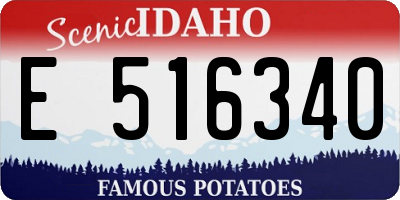 ID license plate E516340