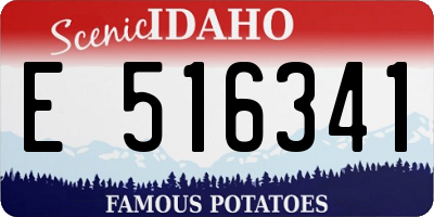 ID license plate E516341