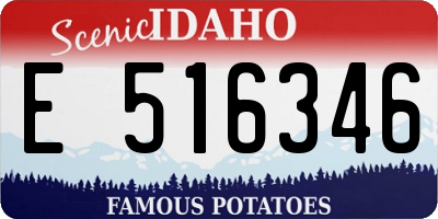 ID license plate E516346