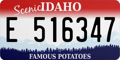 ID license plate E516347