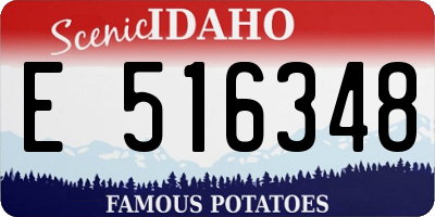 ID license plate E516348
