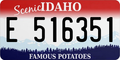 ID license plate E516351
