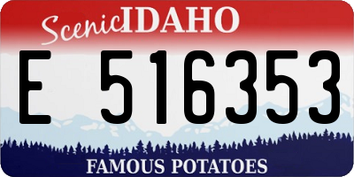ID license plate E516353