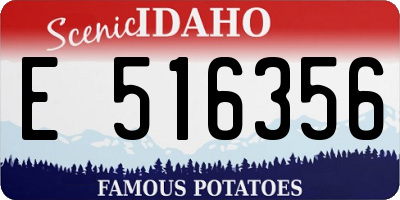 ID license plate E516356