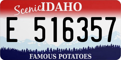ID license plate E516357