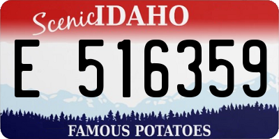 ID license plate E516359