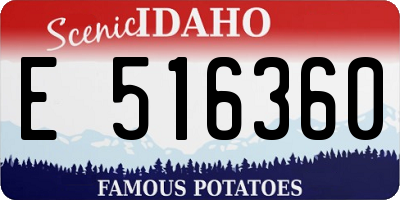 ID license plate E516360