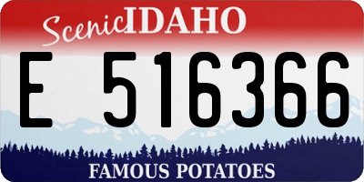ID license plate E516366
