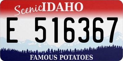 ID license plate E516367