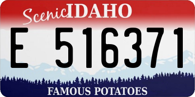 ID license plate E516371