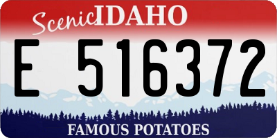 ID license plate E516372