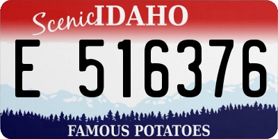 ID license plate E516376